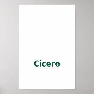 Poster Crie seu próprio 12"x18" Matte