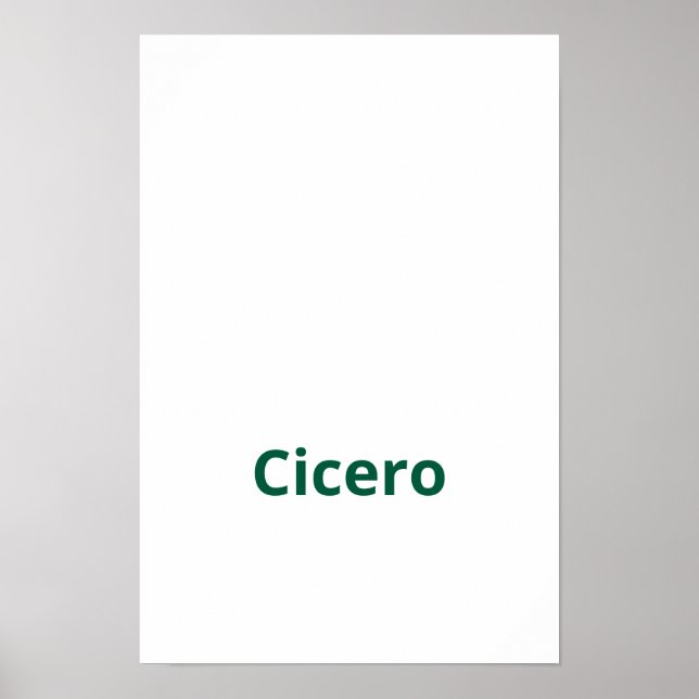 Poster Crie seu próprio 12"x18" Matte (Frente)