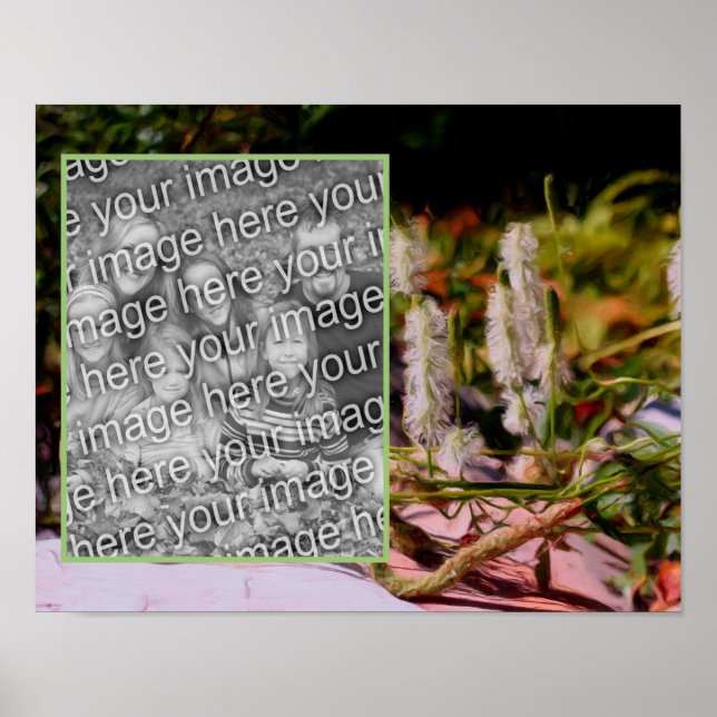 Poster Crie Seu Próprio Flor Fotográfico Na Pintura Do Ro (Frente)