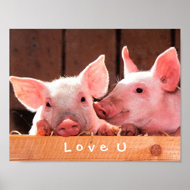 Póster Crie Sua Foto Engraçada Te Ama Personalizado (Frente)