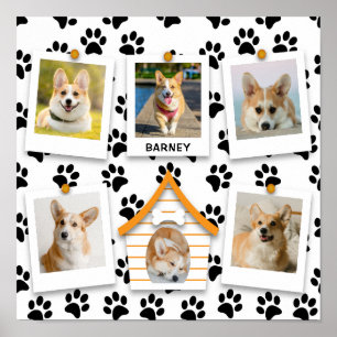 Poster Crie Sua Própria Casa de Cachorro com Colagem de 6