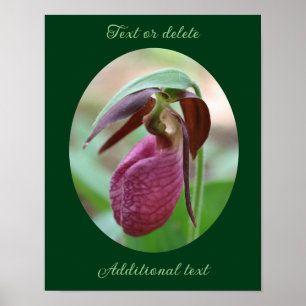 Poster Crie Sua Própria Cota Flor De Slipper Rosa