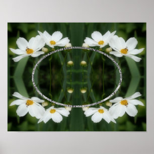 Poster Crie Suas Próprias Flores E Abelhas Do Cosmos Foto