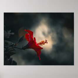 Poster 🌹 Crimson Glow in the Dusk ✨