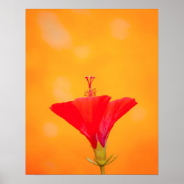 Poster Crimson Serenity