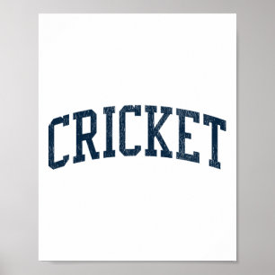 Poster Críquete Nc Vintage Esportes Atléticos Jsn2 Impres