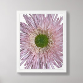 Poster Crisântemo Rosa em Flor Floral
