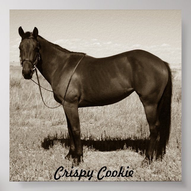 Póster Crispy Cookie (Frente)