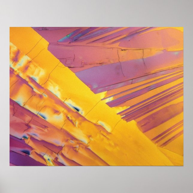 Poster Cristais de ácido oxálico (Frente)