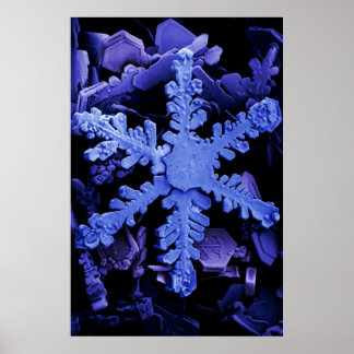 Poster Cristais de Neve