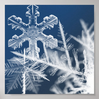 Poster cristais de neve