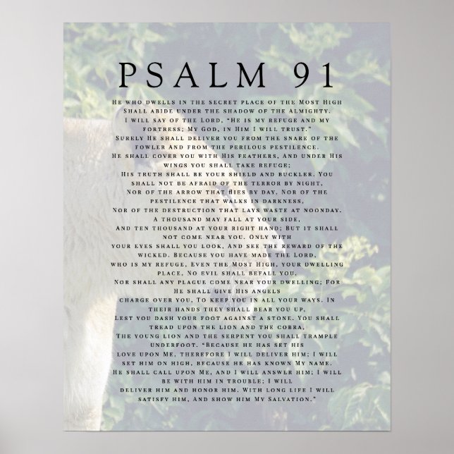 Poster Cristão de Leão Psalm 91 (Frente)