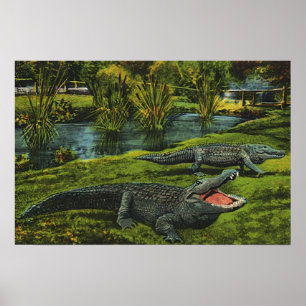Póster Crocodilos Vintage, Animais da Vida Marinha