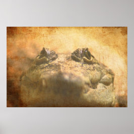 Póster Crocodylus Moreletii Fechar