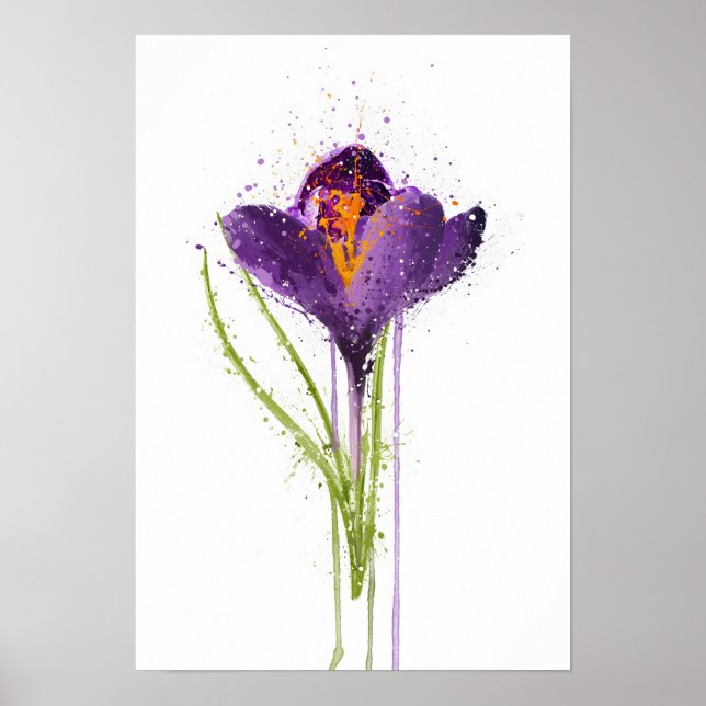 Poster Crocus (Frente)
