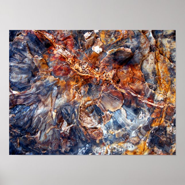 Póster Cronologias (Frente)