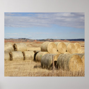 Póster Crook County, pacotes de feno 2