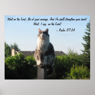 Póster Cross Eyed cat and Psalm 27:14