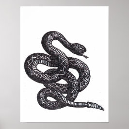 Poster Crotalus Cascavella Snake (Venemous Pit Viper)