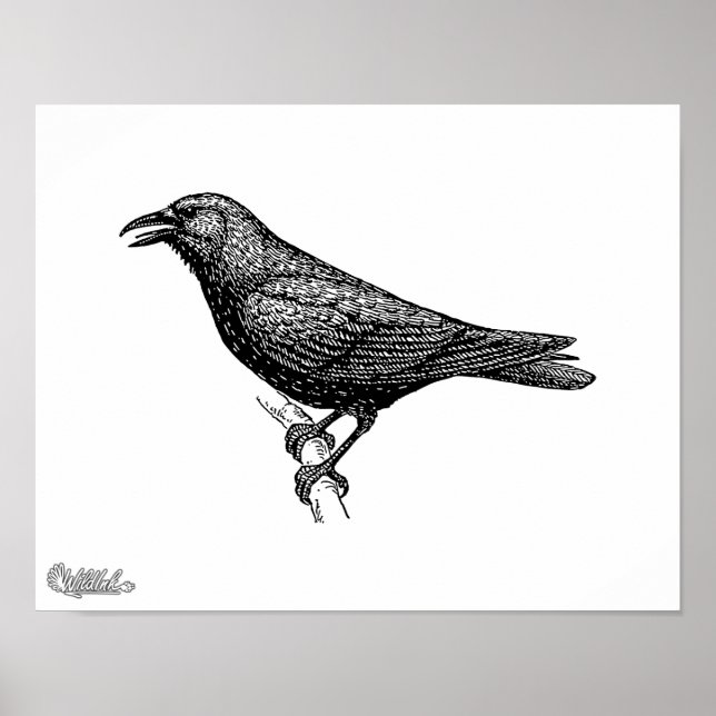 Póster Crow Bird Art (Frente)