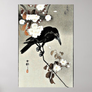 Poster Crow e Cherry Blossoms por Ohara Koson