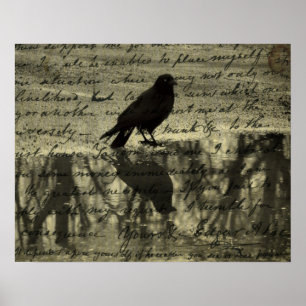 Poster Crow E Poe Papers