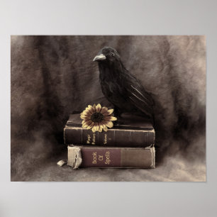 Poster Crow Vintage Gótica Livros Antigos Girassol