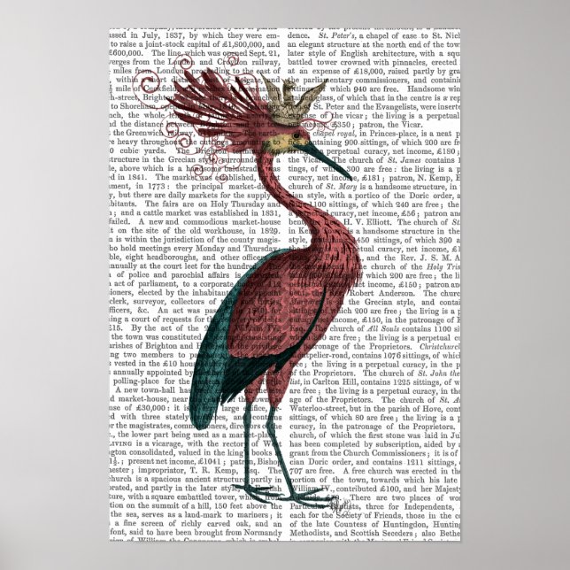 Poster Crown Marsala Heron (Frente)
