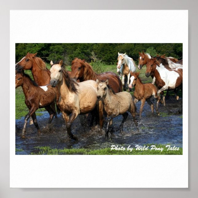 Póster Cruzamento (Frente)