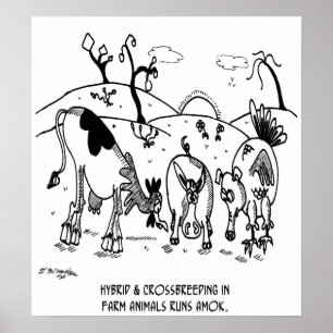 Poster Cruzamento funcionado Amok