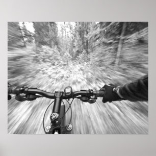 Póster Cruzando uma seção buff de singletrack 2