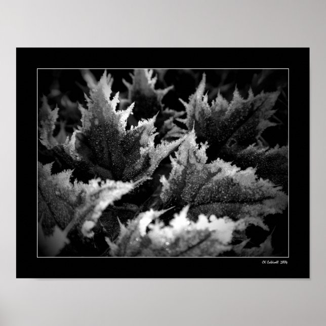 Póster Crystal Morning (Frente)