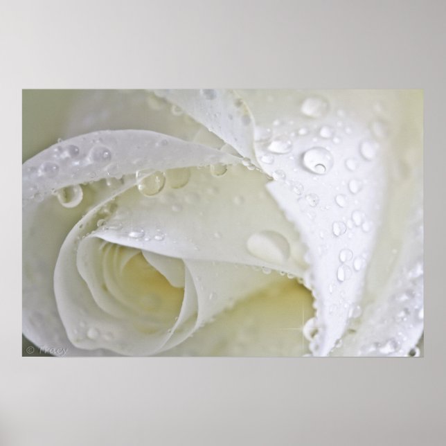 Póster Crystal Rain (Frente)