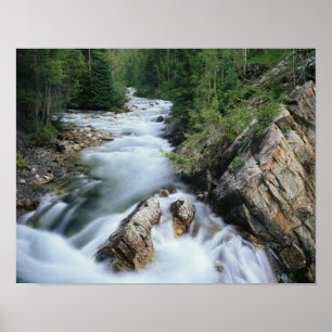 Poster Crystal River, Floresta Nacional de Gunnison,