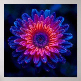 Poster Crystalline Cascade