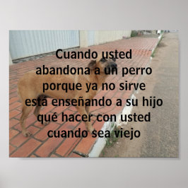 Poster cuando insistiu em abandonar un perro