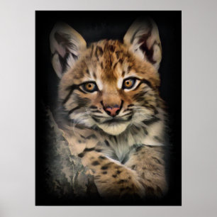 Poster Cub do Lynx