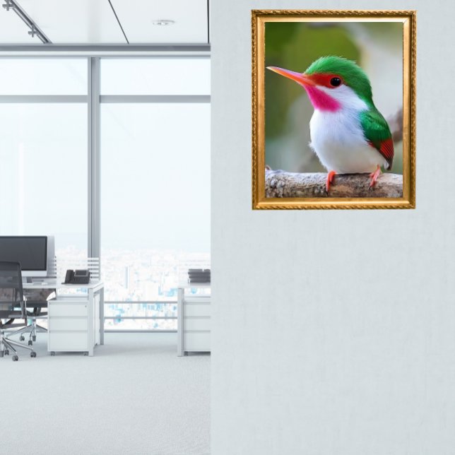 Poster Cuban tody  (Criador carregado)