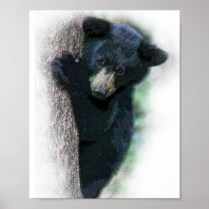 Poster Cubo de Urso Preto, Cura-d'Água, em Árvore