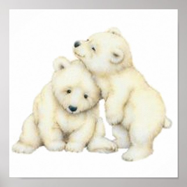 Poster Cubos de Urso Polar (Frente)