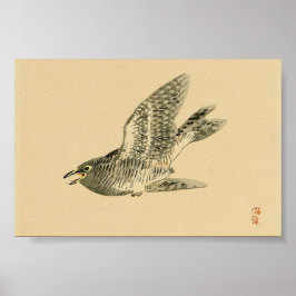 Poster Cuckoo (Arte Japonesa) (por Kono Bairei)