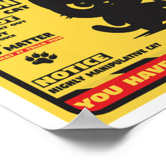 Poster Cuidado com o gato