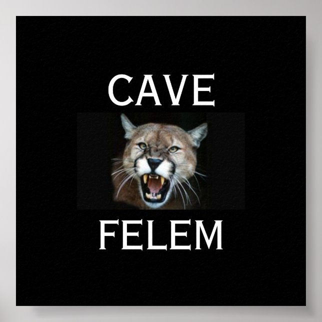 Póster Cuidado Com O Gato Em Latim. -Personalizável (Frente)