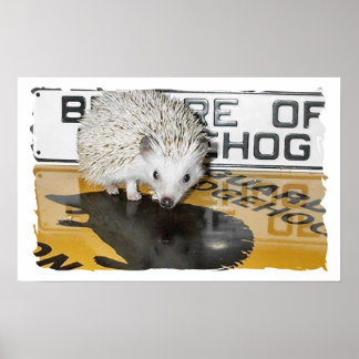 Poster Cuidado com o porco