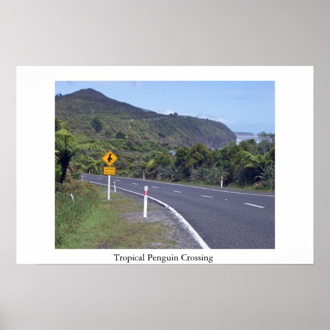Póster Cuidado com os pinguins (Frente)