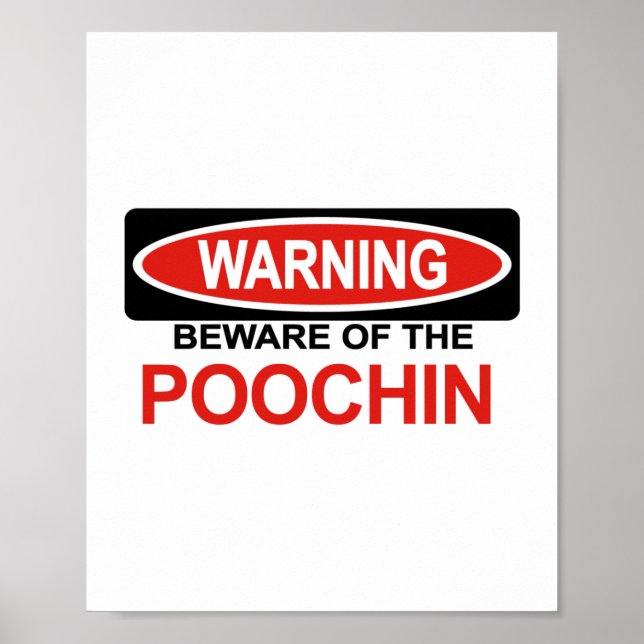 Poster Cuidado Com Poochin (Frente)