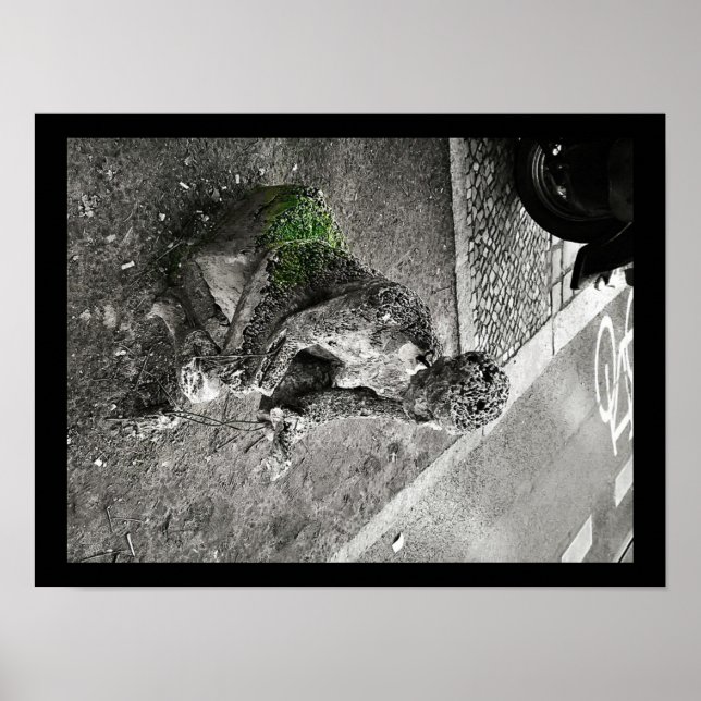 Poster Cuidador (Frente)