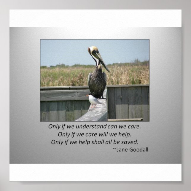 Póster Cuidados (Frente)