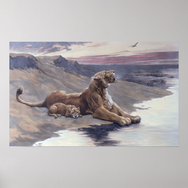 Poster Cuidados Maternos (Frente)