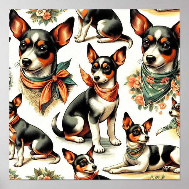 Poster Cuja Vintage Rat Terrier não parece (Frente)
